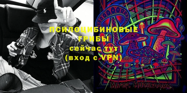 ешки Алексеевка