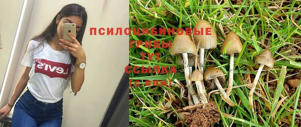 кокаин премиум Алексин
