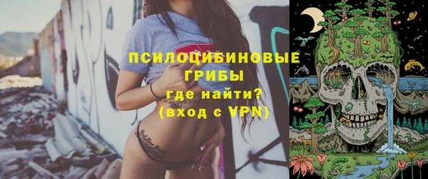 бошки Алзамай
