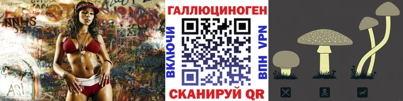 Галлюциногенные грибы Cubensis  как найти закладки  Люберцы 