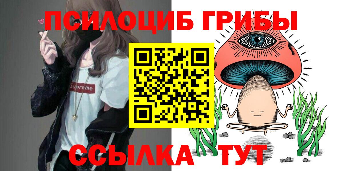 Галлюциногенные грибы Psilocybe Люберцы