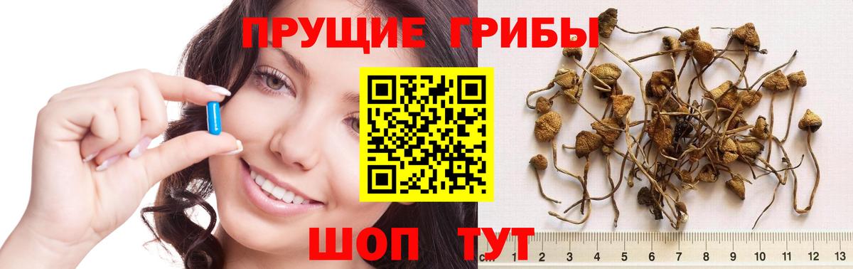 Псилоцибиновые грибы ЛСД  Галлюциногенные грибы Psilocybe  Вход с VPN  Люберцы 